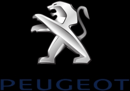 Brand icon
