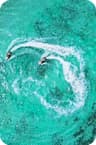 Jet ski