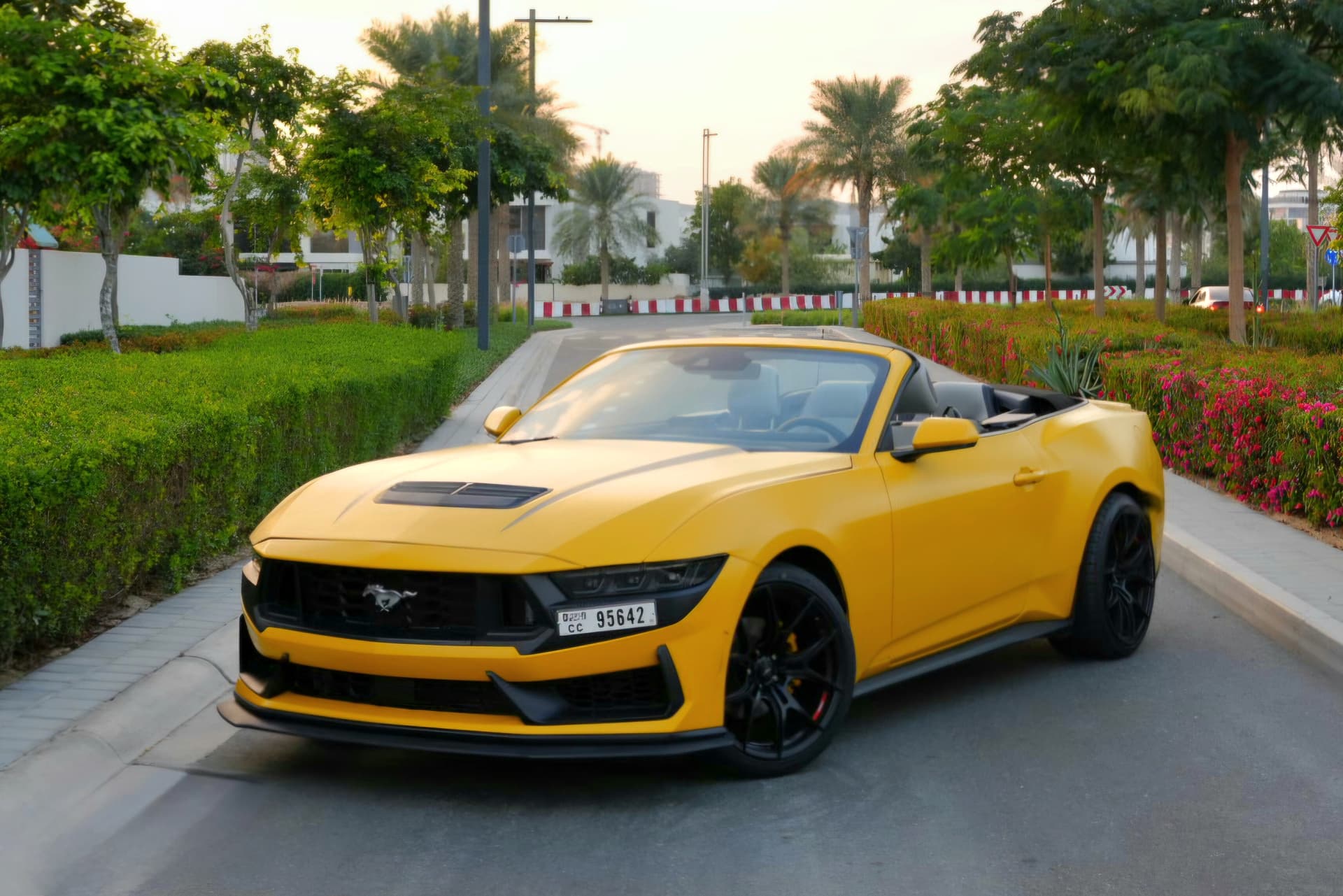 Ford Mustang EcoBoost 2024 Rental Dubai - Front View